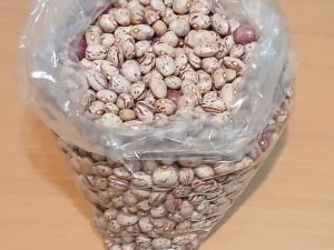 لوبیا چیتی 900 گرمی